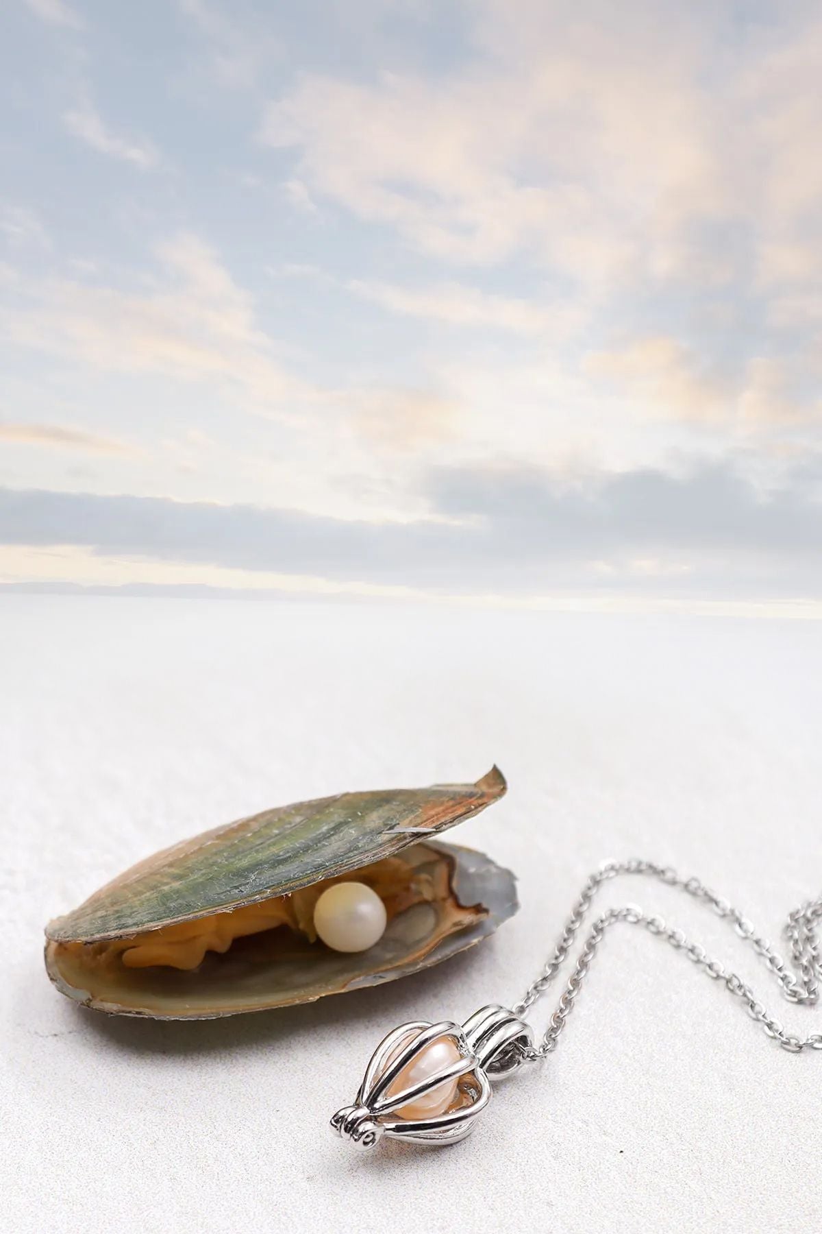 İstiridye İçinde İnci Kolye