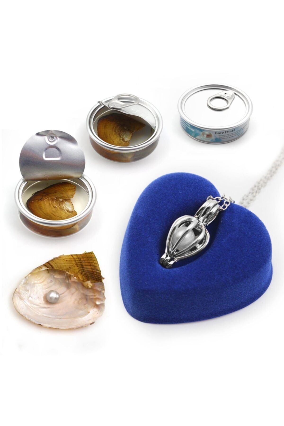 İstiridye İçinde İnci Kolye